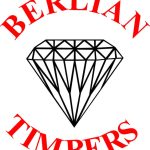 Berlian Group
