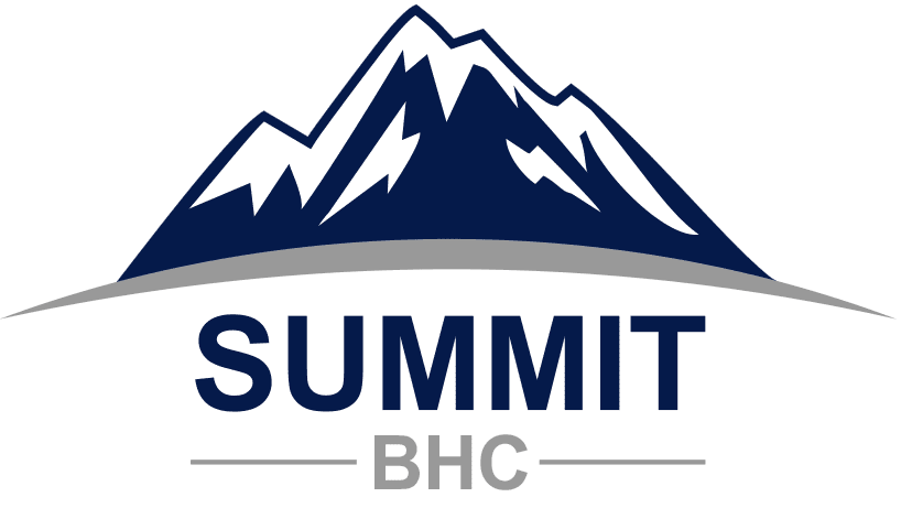 Summit Institute for Development